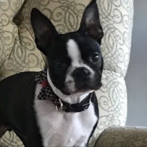 Meet your Posher, Lawrence